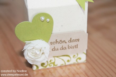 Give Away Hochzeit Stampin Up Verpackung Box Schachtel Goodie 011