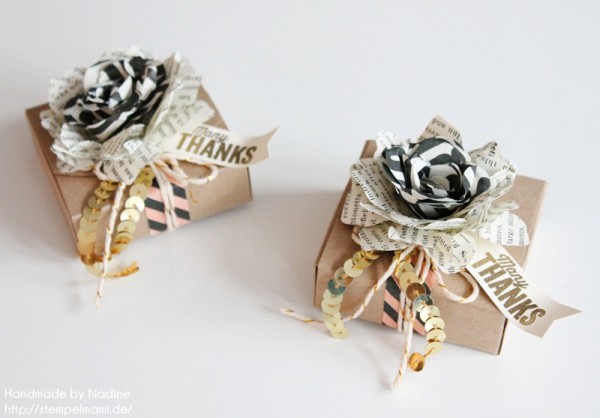 Box Stampin Up Umschlaege fuer Geschenkkarten Verpackung Goodie Gift Idea Give Away Schachtel 004