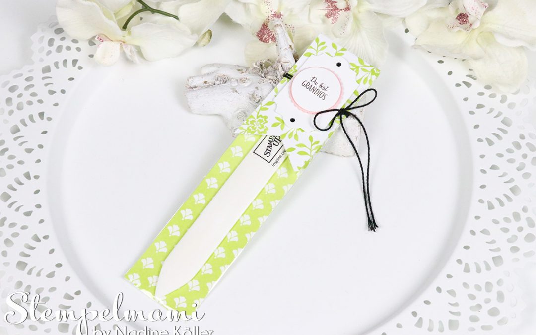 Stampin‘ Up! Video Anleitung Goodie in Cellophantüte