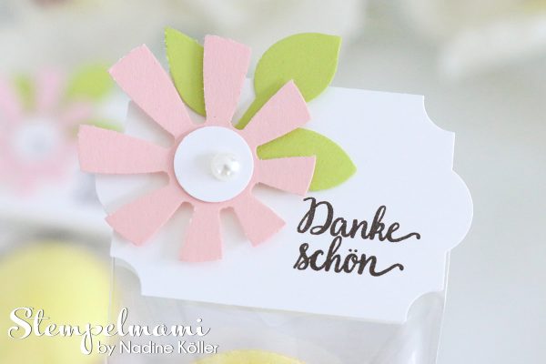 stampin up tutorial anleitung goodie zellophantuete mit handstanzen youtube video stempelmami 3