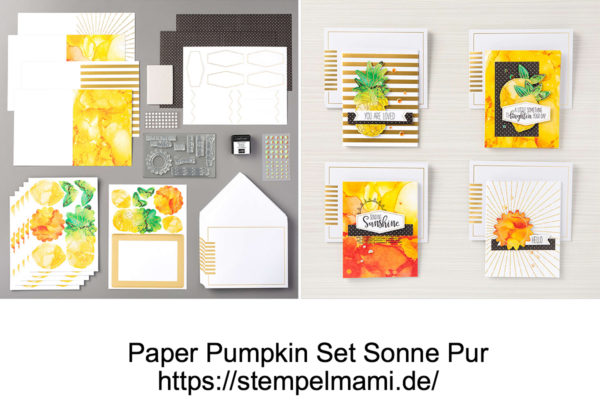 Paper Pumpkin Set Sonne Pur 2