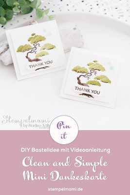Stampin Up Video Anleitung Clean and Simple Mini Dakeskarte 2 Step Stempeltechnik Treasured Kindness Stempelmami Youtube 2