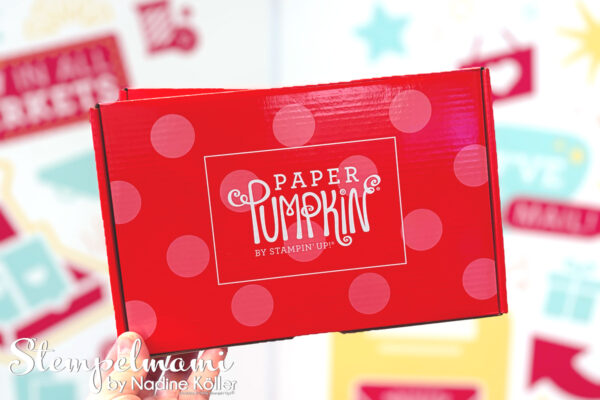 Stampin Up Paper Pumpkin Box Stempelmami 6