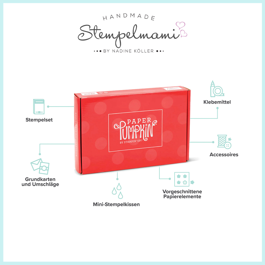 Stampin Up Paper Pumpkin Box Stempelmami 8